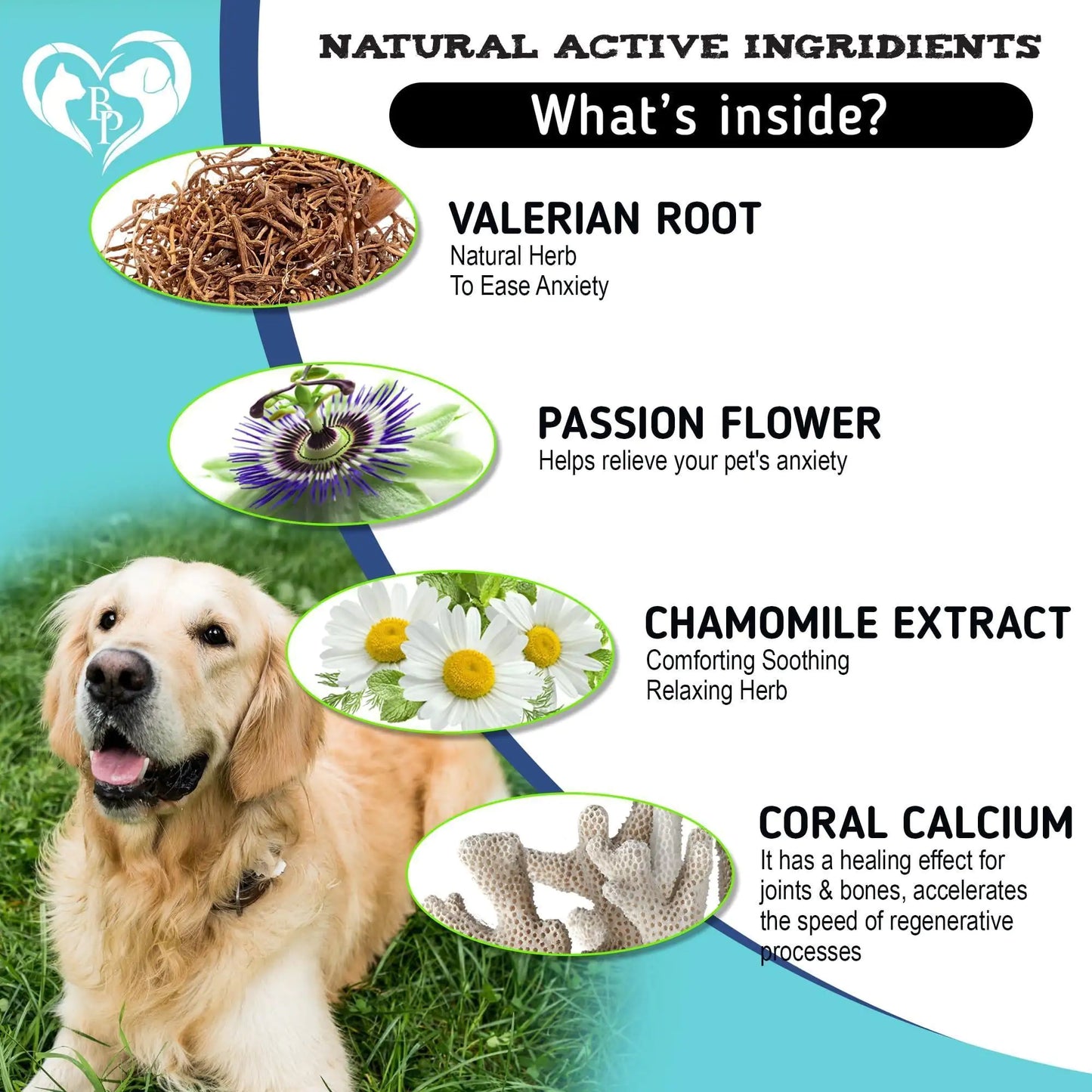 Elvanora™ Hemp Calming Chews for Dogs Natural Anxiety Relief •' Separation Stress Support • Gentle Daily Calming Treats