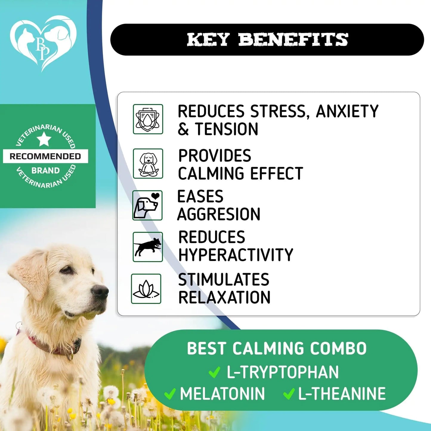 Elvanora™ Hemp Calming Chews for Dogs Natural Anxiety Relief •' Separation Stress Support • Gentle Daily Calming Treats