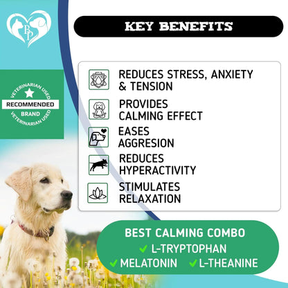 Elvanora™ Hemp Calming Chews for Dogs Natural Anxiety Relief •' Separation Stress Support • Gentle Daily Calming Treats