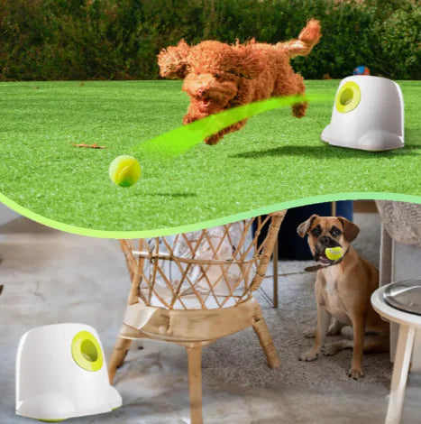 Elvonera™ 3196 Mini Automatic Tennis Ball Launcher for Pets, Hands-Free Play •. Lightweight & Portable • Smart Exercise Solution