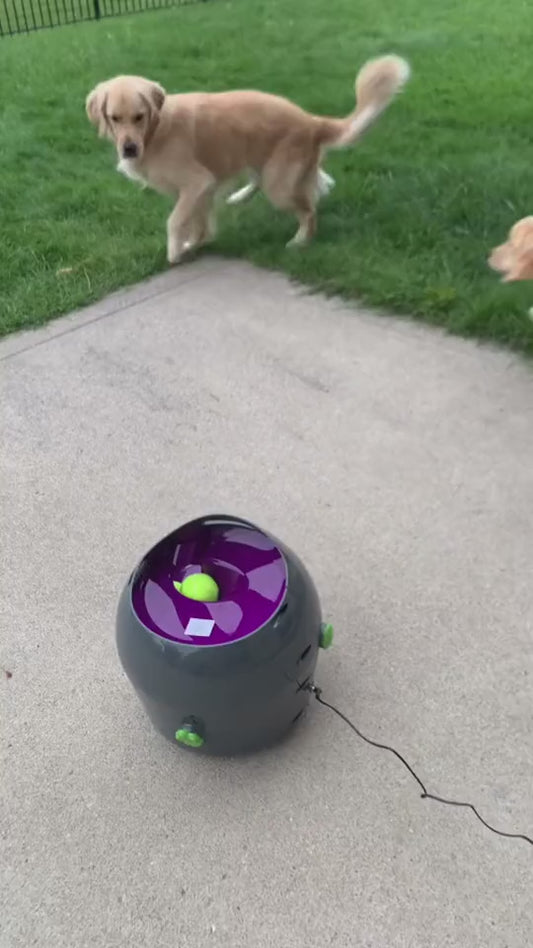 Elvonera™ 3196 Mini Automatic Tennis Ball Launcher for Pets, Hands-Free Play •. Lightweight & Portable • Smart Exercise Solution