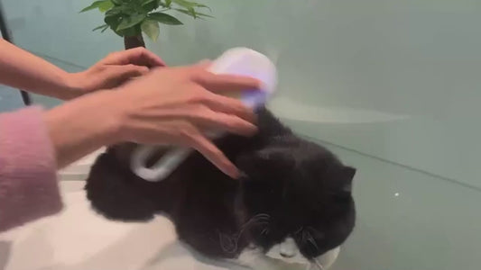 Cat Steam Brush 4-in-1 – Rechargeable Steam Grooming Brush for Cats & Dogs | Cleaning, Deshedding, Massage & Combing with Anti-Static Design ✅🐾